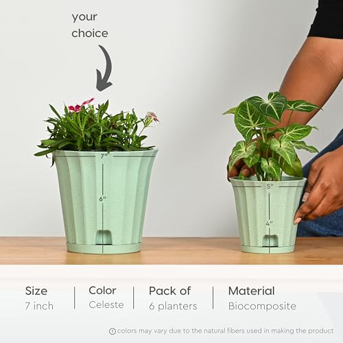 Image of Eha Earth Friendly Ace 7 inch Small Self Watering Pots for Indoor Plants | Set of 6 | Plant Pot Made with Bamboo Fibers | Table Top Planters for Home Decor, Flower Pot for Living Room | Celeste