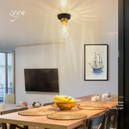 Image of zeyu 2-Pack Small Ceiling Lights, Water Ripple Glass, ZG33F-2 BK+BG-WG