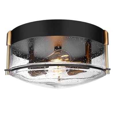 Rosient Close to Ceiling Light Fixture, 12 Inch Farmhouse Bubble Glass Ceiling Light Fixture with Metal Cage, 2-Light Black Gold Ceiling Lamp for Kitchen Dining Living Room Bathroom Hallway Foyer