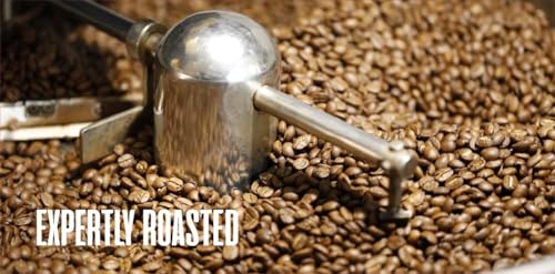 Image of ODD COFFEE ROASTERS Speciality Coffee 250g each| Pack Of 3 | OL' Smoky-Dark Roasted | Breakfast Blend - Light Roast | House Blend-Medium Roasted | Coffee Powder For Moka Pot AAA Beans