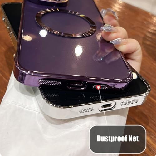 Coque magnétique transparente argent pour iPhone 13 Pro idéale au quotidien