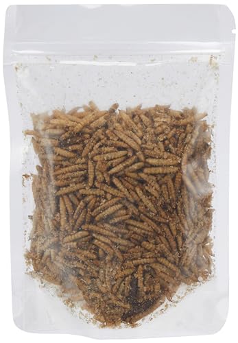 See full amazon price history chart for Petcrux Freeze Dried Black Soldier Fly Larvae High Protein Fish Food for Guppies, Mollies, Tetras, Bettas and Discus Fish of All Life Stages, Suitable for All Marine Fishes, Birds and Reptiles (50gm) Petcrux Freeze Dried Black Soldier Fly Larvae High Protein Fish Food for Guppies, Mollies, Tetras, Bettas and Discus Fish of All Life Stages, Suitable for All Marine Fishes, Birds and Reptiles (50gm) (B0CVL9MZKV) Amazon Price History, Amazon Price Tracker