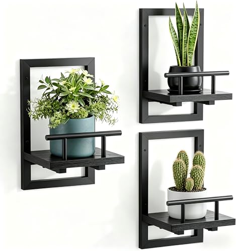 Image of Sbosbo Floating Shelves for Wall, Plant Shelf Indoor, Wall Planters for Indoor Floating Plant Shelves for Bedroom, Living Room, Kitchen, Office, Bathroom Decor (Black, 3 Pack)