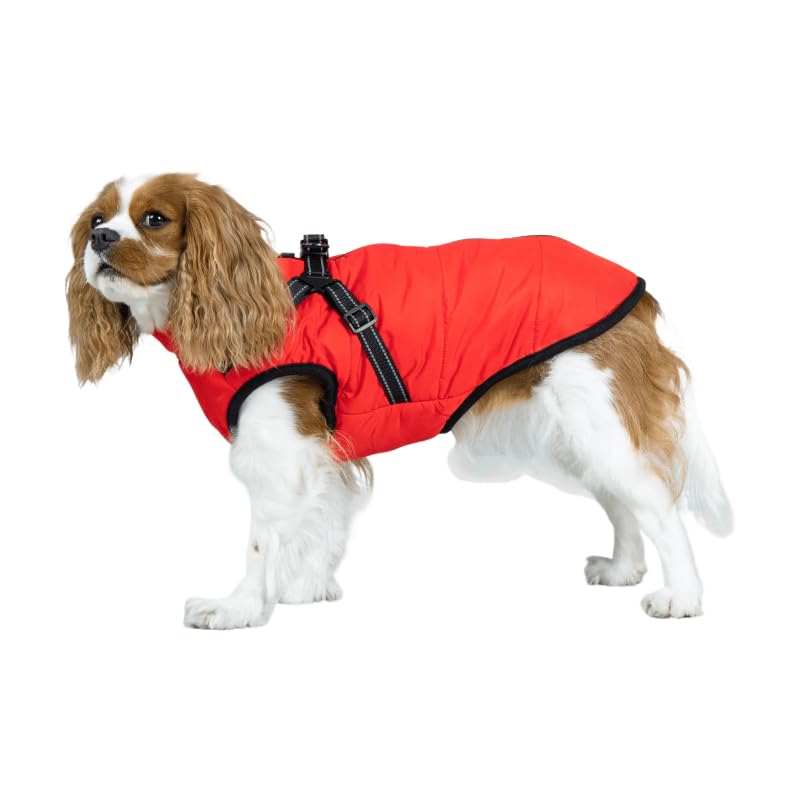 DoggyKings™ 3 in 1 Jacket (This Size Fits Small and Medium-sized Dogs, Such As Staffordshire Bull Terriers; Sizes Run Small and May Not Fit Large Dogs)