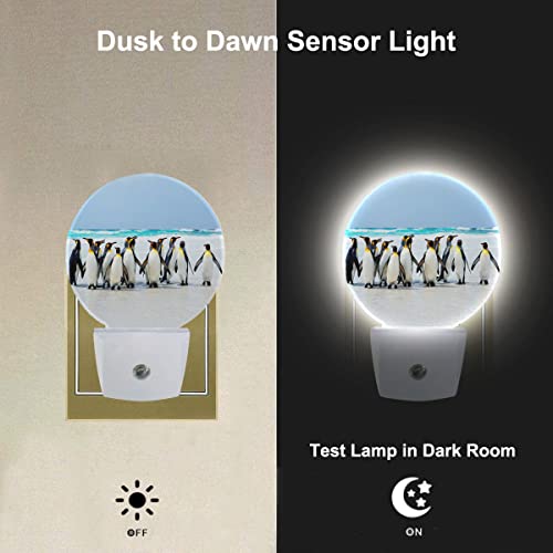 Image of King Penguins Nightlight Antarctic Penguin Cute Animal LED Dusk to Dawn Plug-in Nightlight Auto Sensor for Bedroom Bathroom Hallway Living Room