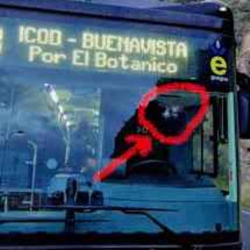 Helado de Miel y Nata