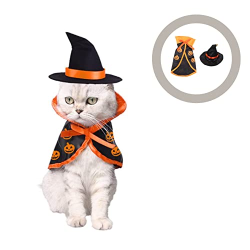 Disfraz Halloween para perros y gatos capa y sombrero miniatura 7