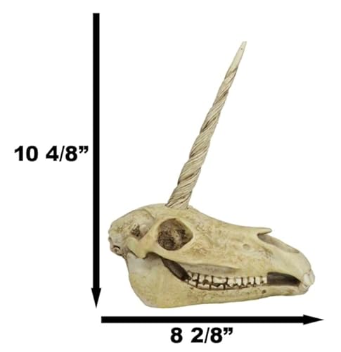 Ebros Gift Ebros Ancient Fossil Unicorn Skull Statue Rare Mythical Creature Skeleton Model Great Gift For Archaeologists Excavation Adventurers And Collectors thumb #7