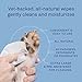 TrueBlue Super Fresh Body and Paw Wipes for Dogs and Puppies - Clean Dirty Paws and for deodorizing - Extra Large, Non-Toxic - 8