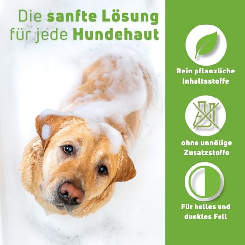 Amigard Hundeshampoo Sensitiv – Natürliches Hunde Shampoo mit Neemöl – Sanfte Pflege bei Juckreiz & Hautirritationen – ohne Duftstoffe – 250 ml