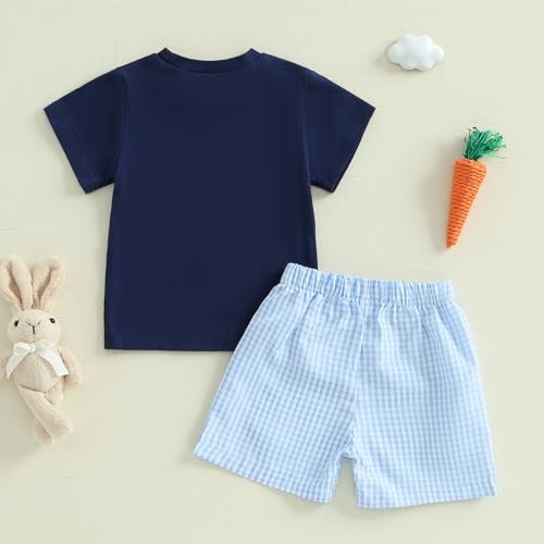 Image of Toddler Baby Boy Easter Rabbit Outfit Short Sleeve Bunny Carrot Smocked T-shirt Elastic Waist Shorts Summer Clothes