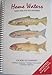 Home Waters: Guide to Fishing Northern Arkansas, Western Tennessee, and Southern Missouri