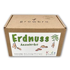 growbro Kids pinda-kweekset, tuinontdekkingset, onderzoekers, kinderen, natuur ontdekken, cadeau voor kinderen, kinderverjaardag, kamerplanten, planten, zaden, souvenirs experiment