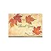 Great Papers! Fall Leaves, Folded, Thank You Note Card, 50 count, 4.875" x 3.375" (2017002)