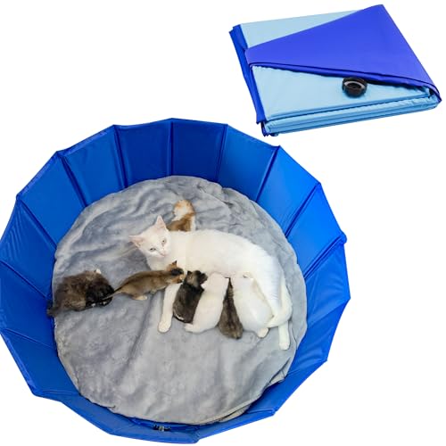 Birthing and Activity Bed for Kittens Puppies and Small Pets,