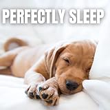The Sleepy Sounds