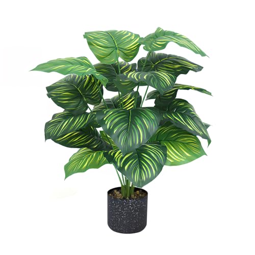 tFCNO[ lHϗtA |gX 60cm 18t 1.55kg CeA ItBX/p eiXsv