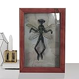 Résine faite à la main : notre spécimen de momie mystérieuse est fabriqué en résine, dont la sécurité, la protection de l'environnement et le design innovant sont une partie indispensable de la décoration du festival, vous pouvez choisir en toute confiance.