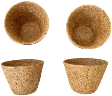 Large Coco Pot FH-6