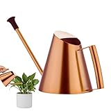 Gießkanne für Zimmerpflanzen, 900 ml Edelstahl-Gießkanne mit Sprinklerende, Goldene...