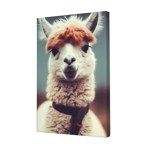 Toile alpaga mignon pour illuminer votre intérieur et sourire au quotidien
