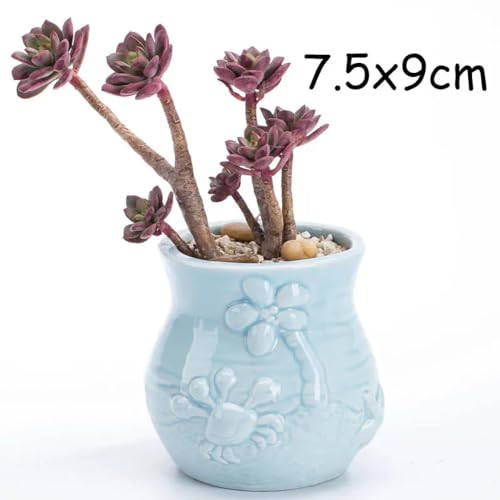 Pot de fleurs poisson bleu maison jardin pour mini bonsaï cactus