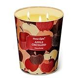 Photo Gallery home lights grande candela di vetro 3-wick candele profumate a lunga durata, candela di cera di soia naturale 34oz per la casa profumata, eclettica misti tipi regali per le donne per gli uomini Photo Gallery home lights grande candela di vetro 3-wick candele profumate a lunga durata, candela di cera di soia naturale 34oz per la casa profumata, eclettica misti tipi regali per le donne per gli uomini