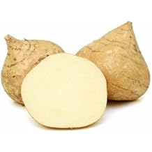 Jicama Seeds, Pack of 4