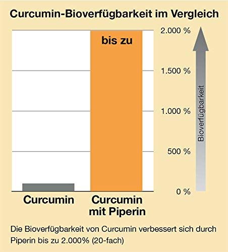 Kurkuma Kapseln Biotikon mit Curcuma und Piperin von Dr. Michalzik