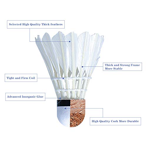 KANOSON Badminton Shuttlecocks 12 Pcs, White Fast Feather Shuttlecocks Balls with Stability & Durability, High Speed Feather Badminton Shuttle Idea for Indoor Outdoor Game - Image 2