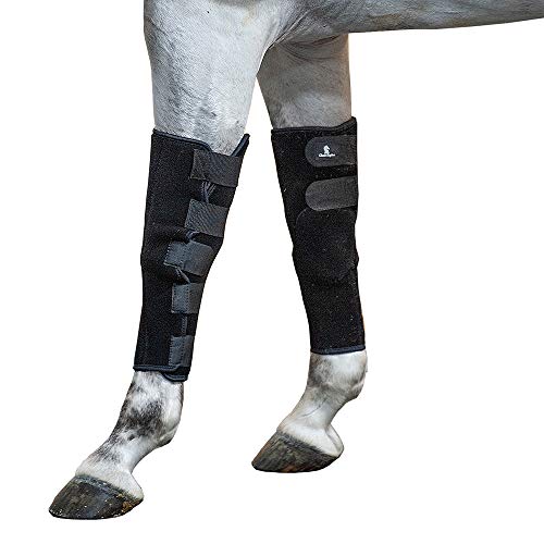 Classic Equine Horse Breeding Boots