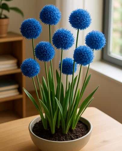 Blue Allium bulb image