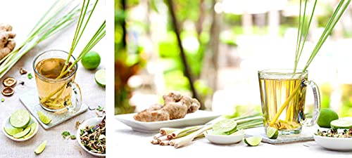 Lemongrass Seeds, Culinary Herb Thai Lemon Grass Seeds for Planting (1500+ Seeds)