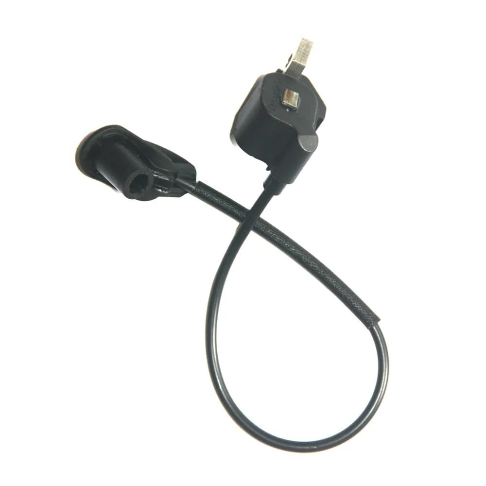 Pièce de rechange bobine d'allumage pour moteur Homeli RY08420A et Ryob 291424001