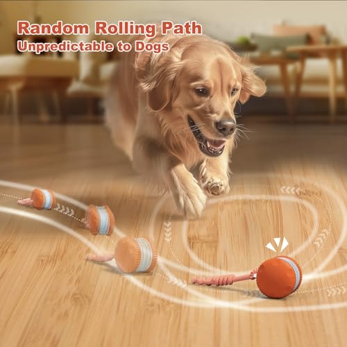Hedsuin Interaktiver Hundeball, Zufallspfad Elektrisches Automatisches Bewegliches und Rollen Hundespielzeug mit Seil für Kleine Mittlere Große Hunde, Bewegungsaktiviertes Hundespielzeug