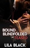 Bound Blindfolded and Teased (Hailey and Ryan's Kinky Exploration Book 1)