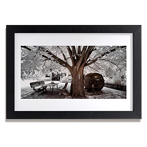 Affiche encadrée arbre de nature déco salon et chambre 30x20 cm