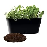 Aquaphoric Herb Garden Tub - Self Watering Passive Hydroponic Planter + Fiber Soil, Keeps Indoor Kitchen Herbs Fresh and Growing for Weeks on Your Home Windowsill. Compact, Attractive and Foolproof.