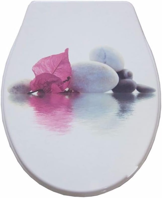 Standard Closure Toilet Lid Cover Set with Colorful Seats, Bathroom PP Universal Old Toilet