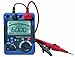 REED Instruments R5002 Digital High Voltage Insulation Tester