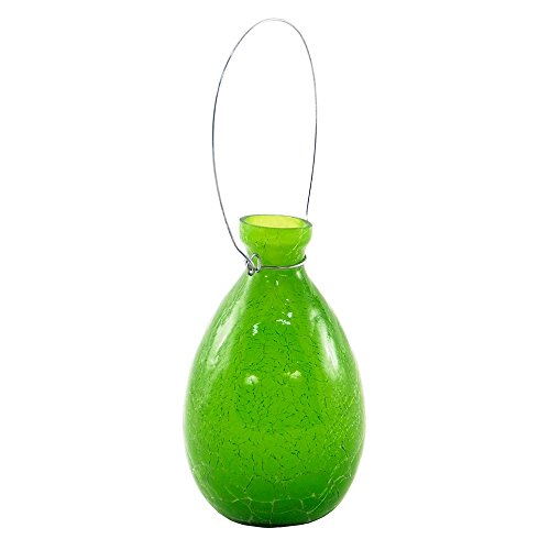 Achla Designs Sv-01Fg Hanging Glass Flower Planter/Rooting Vase Teardrop Shaped, Fern Green #TOP11