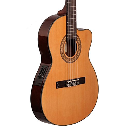 Guitarra Electroacústica Ibanez Natural Ga5tce-am