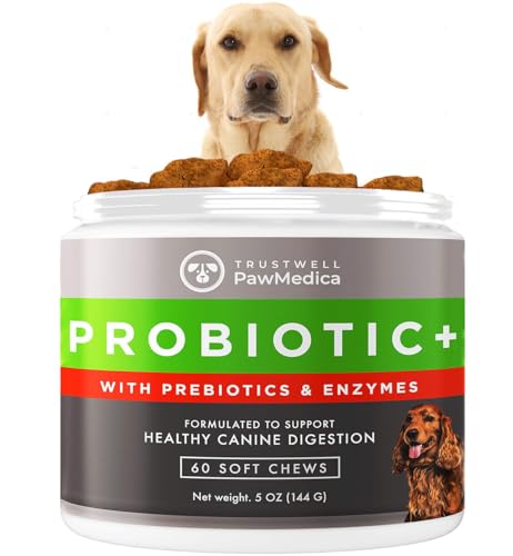 PawMedica Dog Probiotics and Digestive Enzymes, Probiotics for Dogs Made in USA, Pet Probiotic Chews for Dogs, Prebiotics & Probiotic Dog Digestive Support, Probiotic Treats - 60 Dog Probiotic Chews -  TRUSTWELL PAWMEDICA