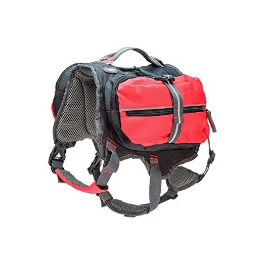 iEnergy Mal - Mochila para Perro, Talla Grande