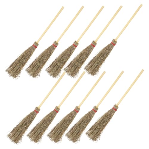 m[uhi 10pcsh[nEX̂ق~jD̂قؐق̂߂̖ؐ̂ق