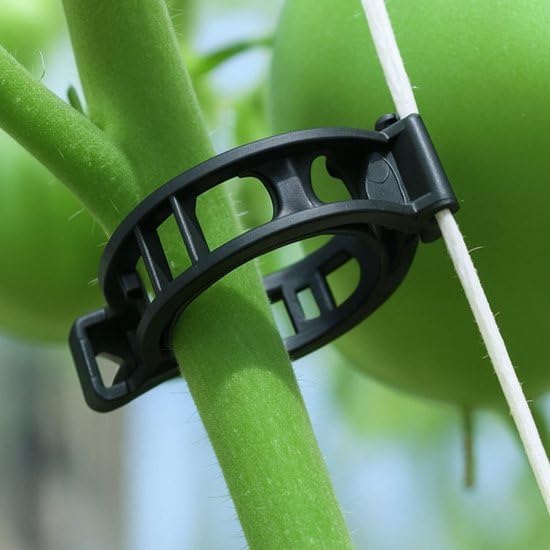 Lot de 500 clips pour plantes - 28 mm de diamètre - Noir - Plastique recyclé - Support pour plantes de tomates - Pinces de fixation