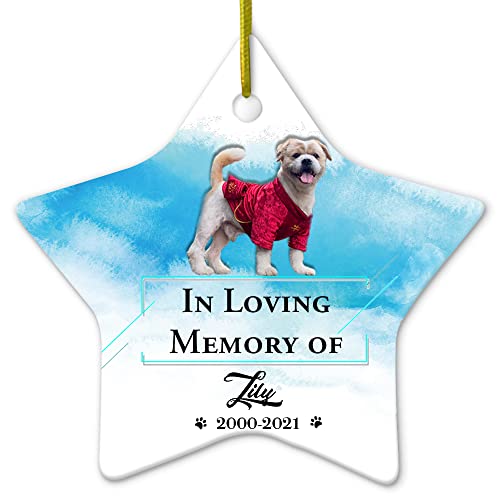 UTF4C Pet Memorial Christmas Ornament with Photo – in Loving Memory of Cat Dog - Paw Print - Pet Loss Sympathy Gift - Cat Dog Memorial Gifts - Ceramic Ornament Keepsake for Christmas Tree Decor - Star