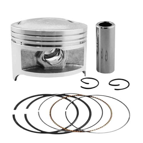 sXgOLbg{A STD TCY 66 ~[g? 67 ~[g DR200 42A SP200 DF200 DR200SE DR200S RV200 VanVan ƌ݊(66.5mm)