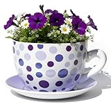 hadaaya 7.5” Round Ceramic Teacup Planter with Saucer – Purple Polka Dot Design Pot for Succulents, Orchid, Herbs & Indoor Houseplant/Flowers for Valentines Day Gift