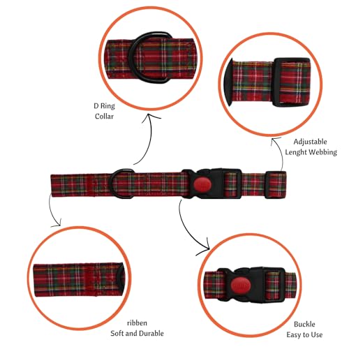 Image of Emily Pets Dog Collar with Safety Locking Buckle, Adjustable Soft Breathable Comfortable Nylon Pet Collar for Small, Medium Dogs & Cats (Color May Vary)